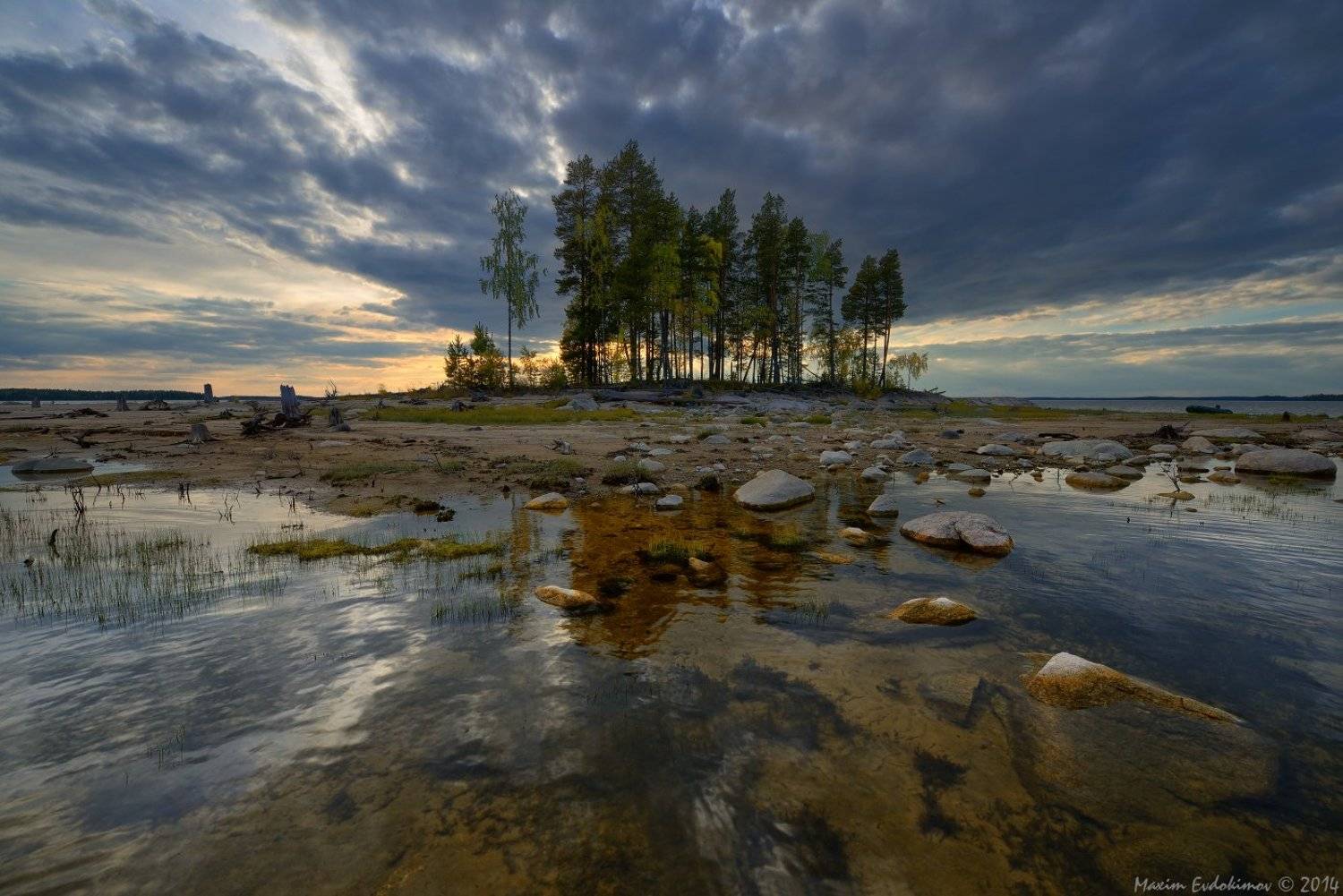 , Максим Евдокимов