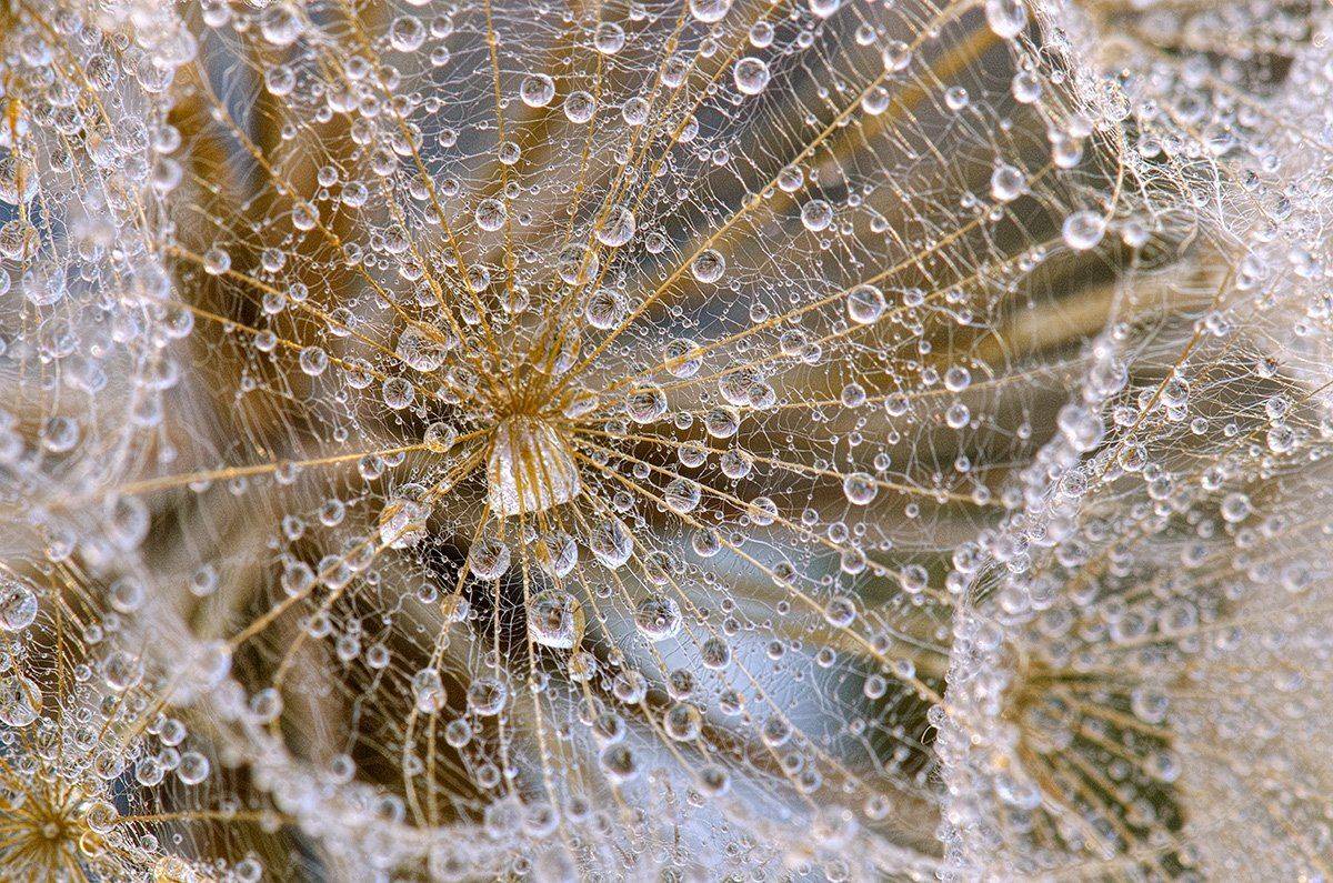 , Таня  Маркова