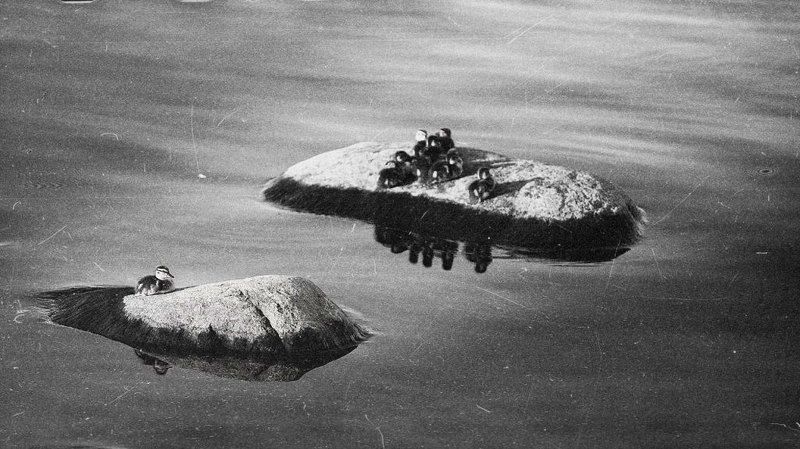 Изгой фото превью