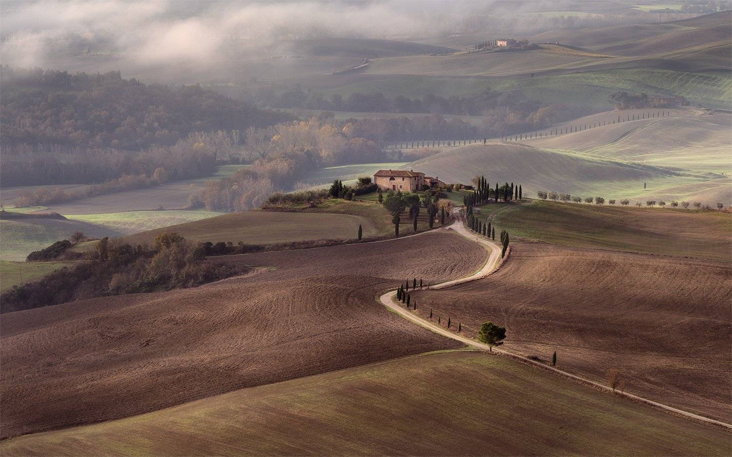 Pienza, Дмитрий Титов