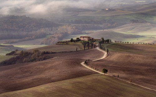 Шоколад с фисташками...