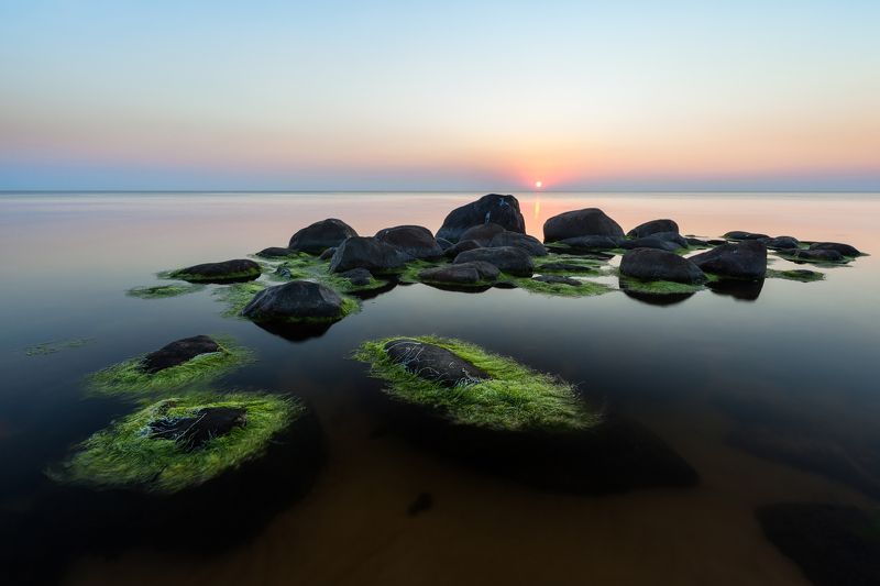 Из тины паутина фото превью