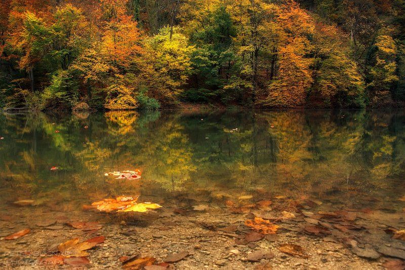 Осеннее озеро фото превью