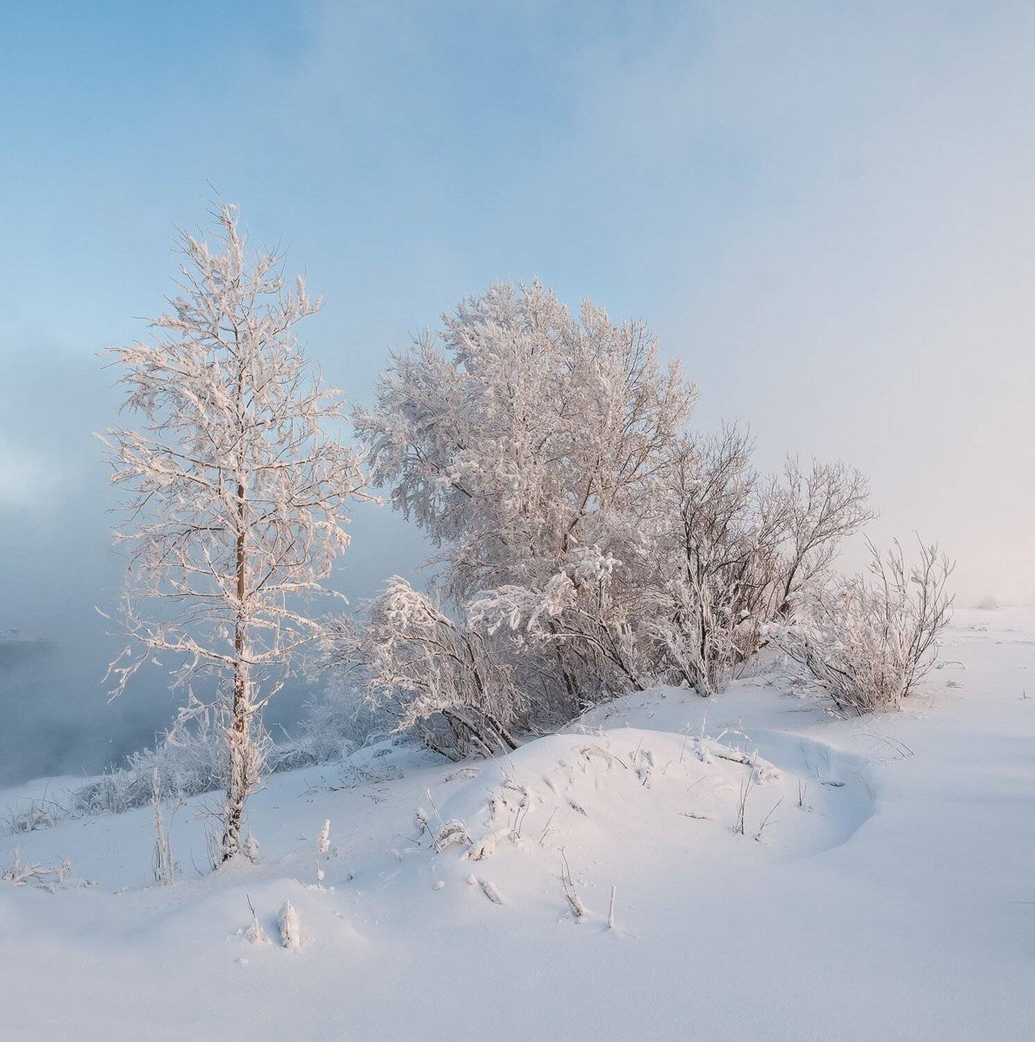 , Лещёнок Александр