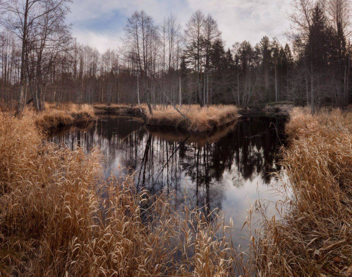 , Хохряков Николай