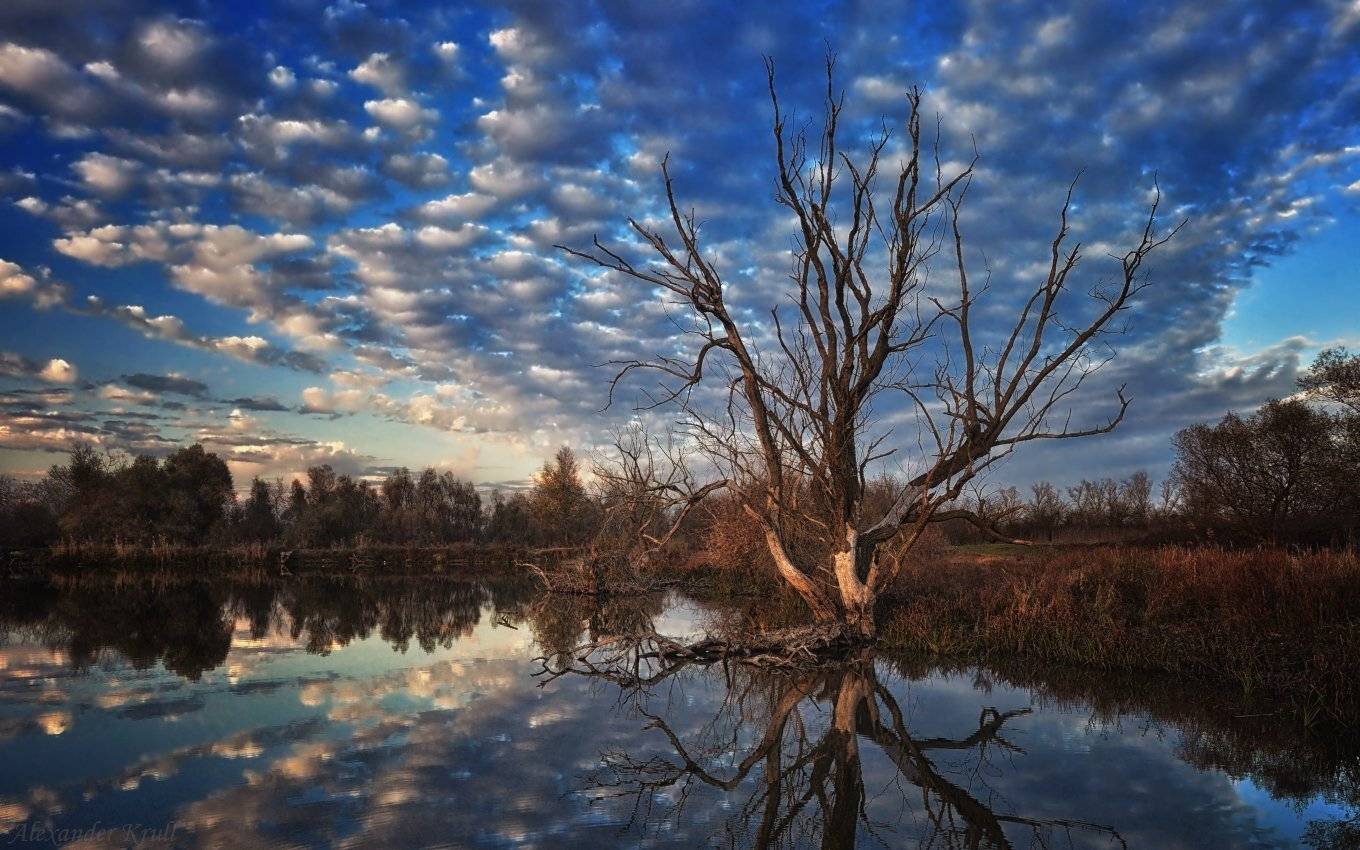 , Александр Круль