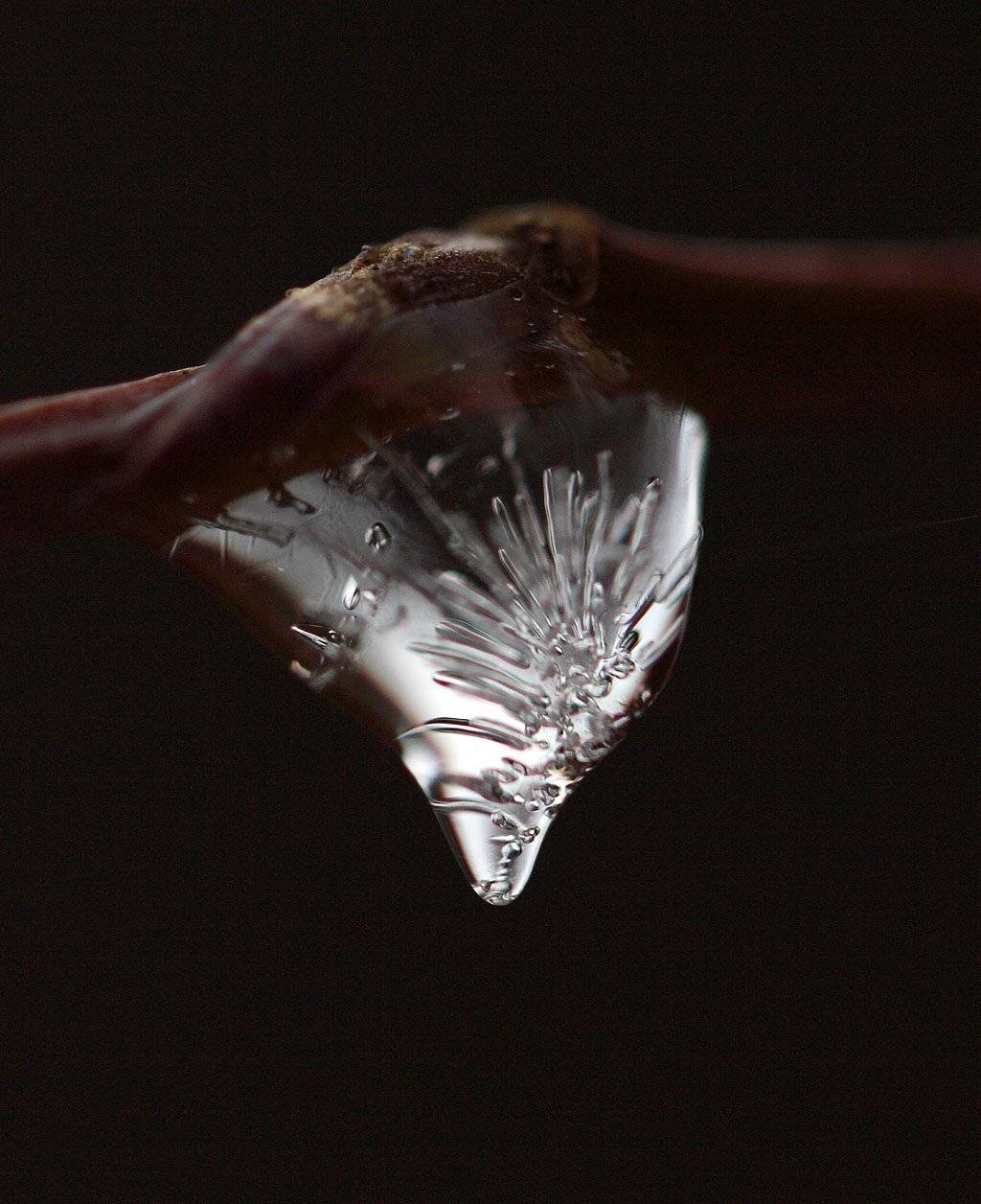 , Сергей Таланов