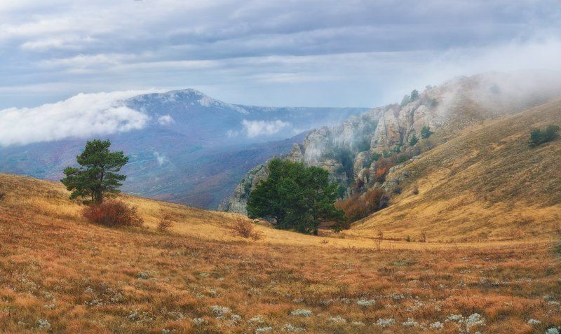 На просторах Демерджи фото превью