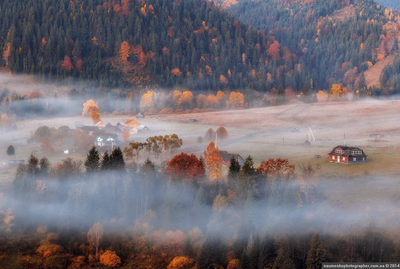 горы,	зеленый,	карпаты,	луг, природа,	рассвет,	роса, склон,	солнце,	трава,	туман, дземброня, Александр Науменко