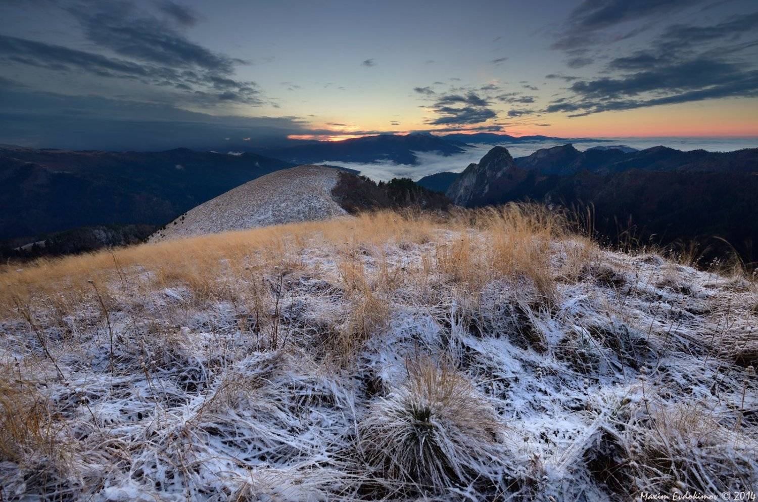 , Максим Евдокимов