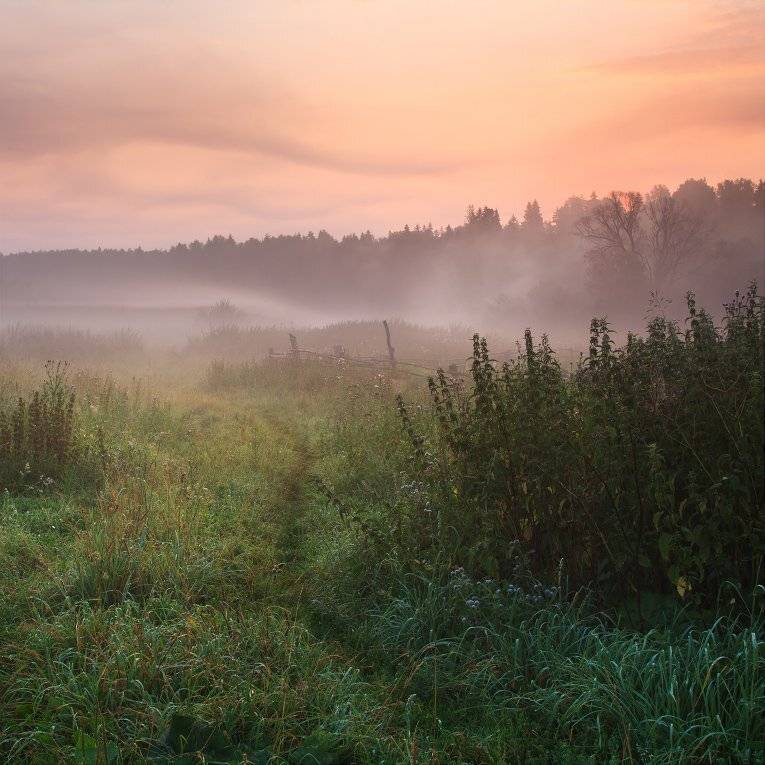 , Алексей Лобанов