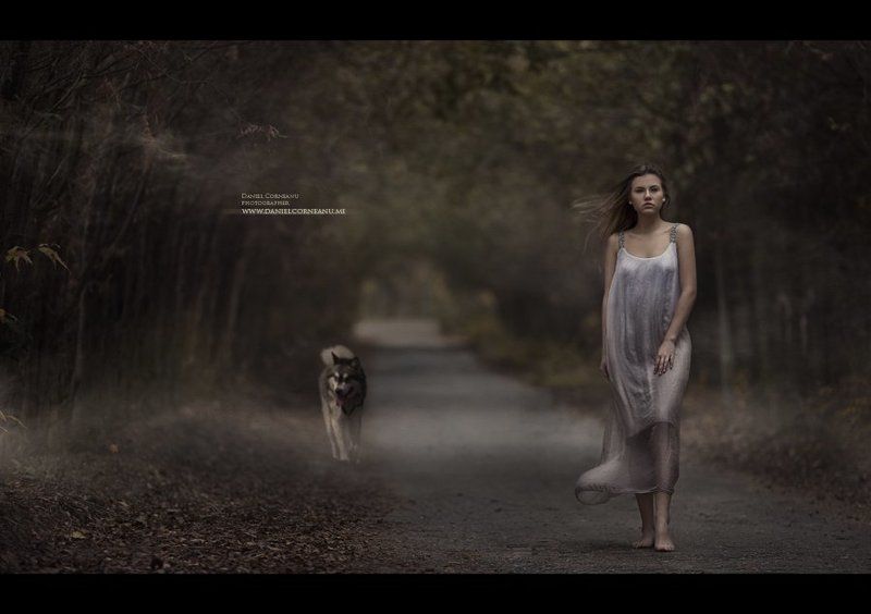 The guardian фото превью