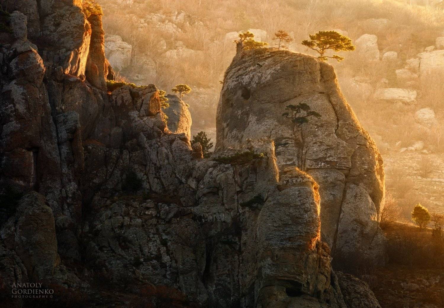 , Анатолий Гордиенко