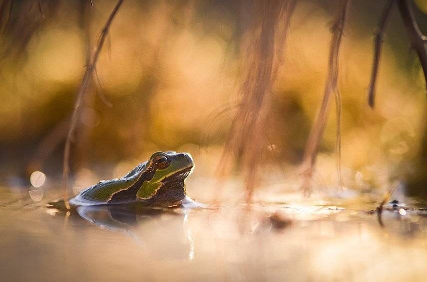 , Вячеслав Мищенко
