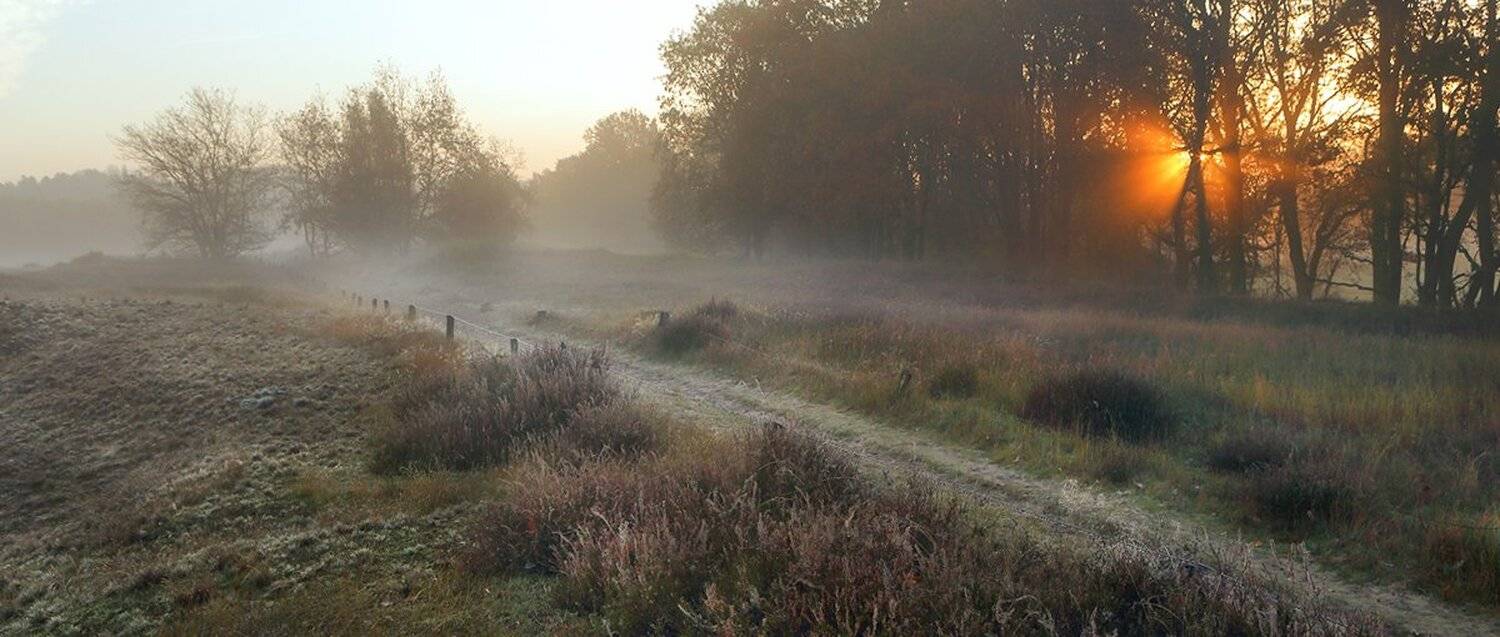 , Игорь Дубровский