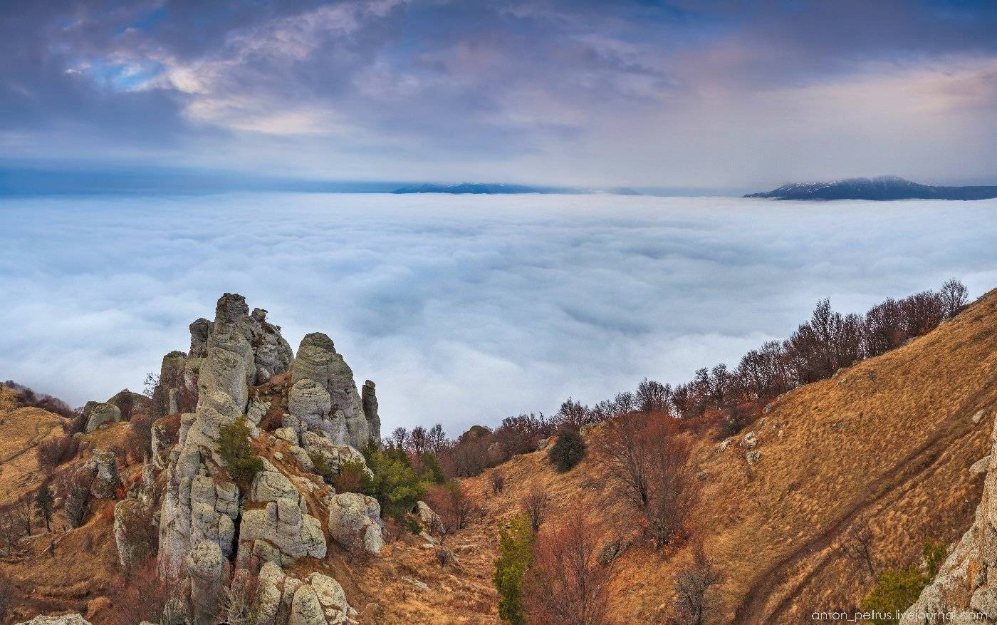 , Антон Петрусь