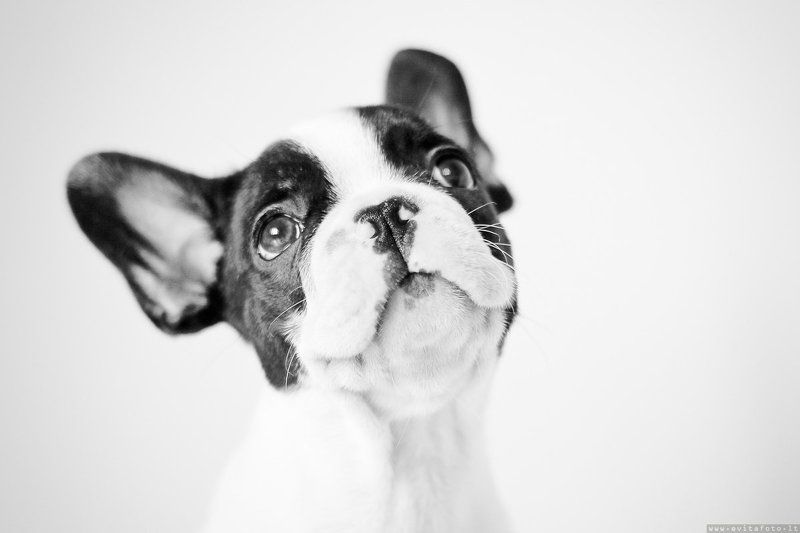 Mечтатель фото превью