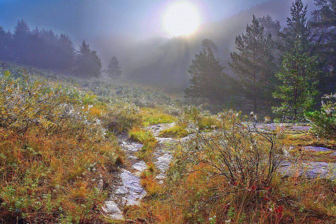 , Качурин Алексей