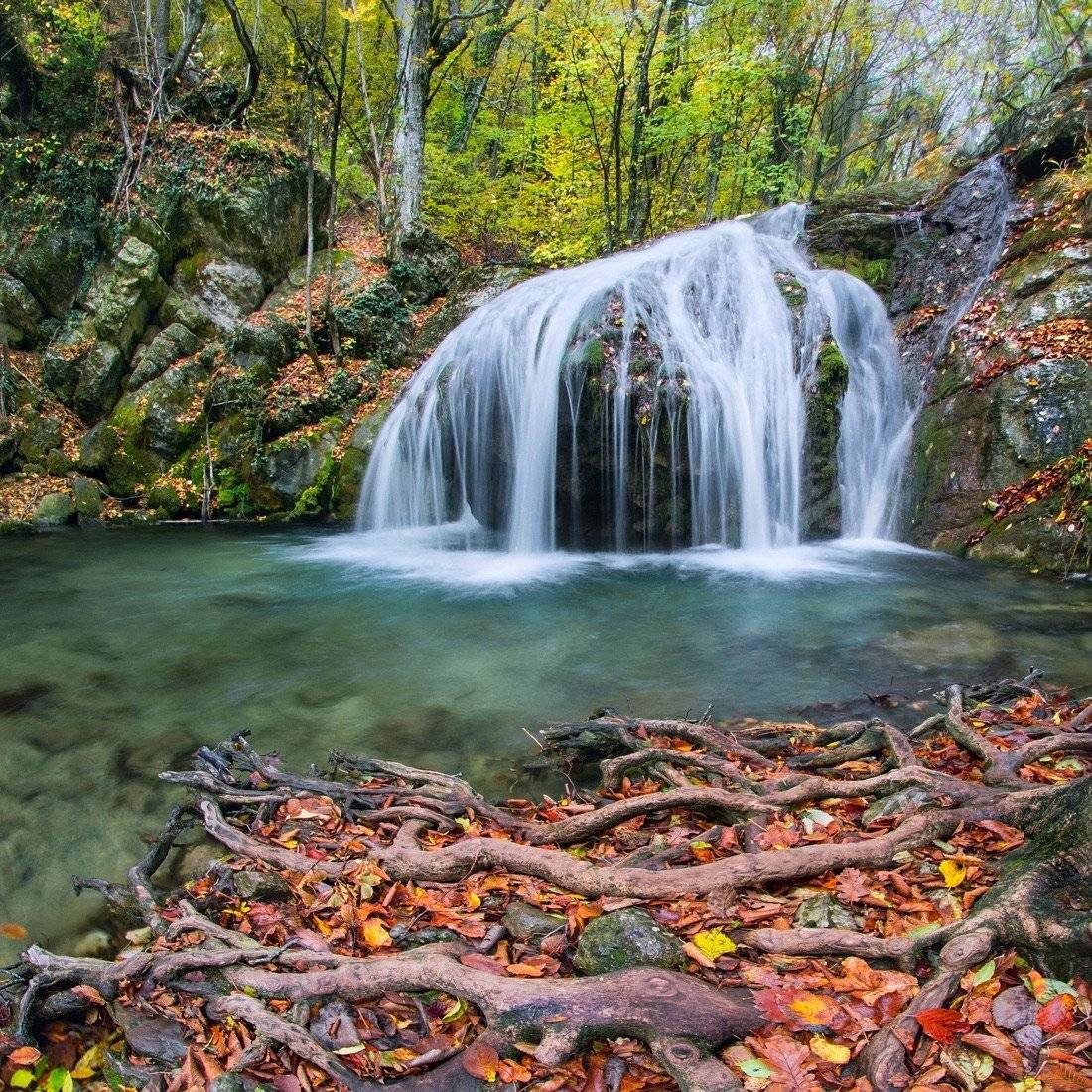 , Маркович Михаил