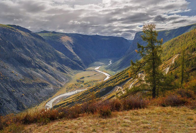 Алтай, Горный алтай, Горы, Кату-ярык, Осень, Пейзаж, Природа, Путешествие, Туризм, Чулышман Кату-Ярык и Чулышман фото превью