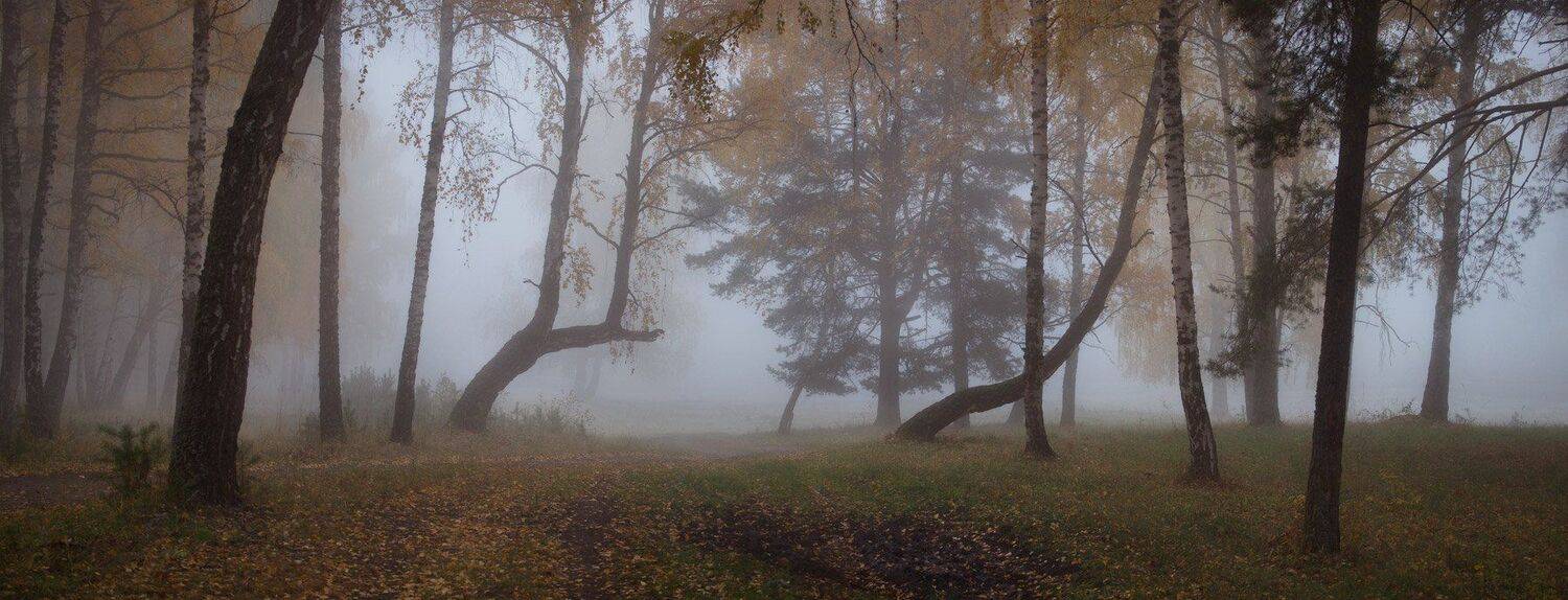 , Владимир Ляпин