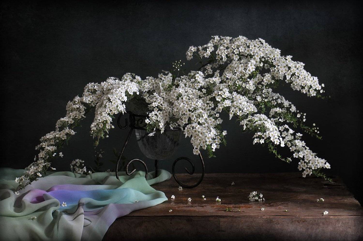 , Елена Соловьёва