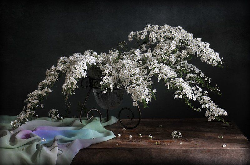 *** фото превью