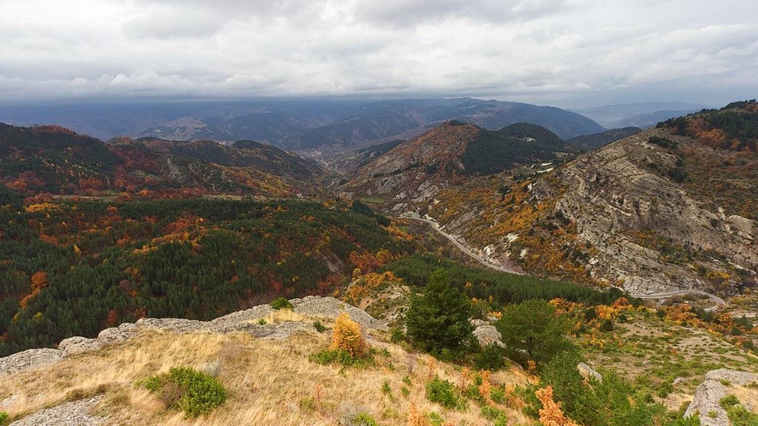 , Ирина Костова