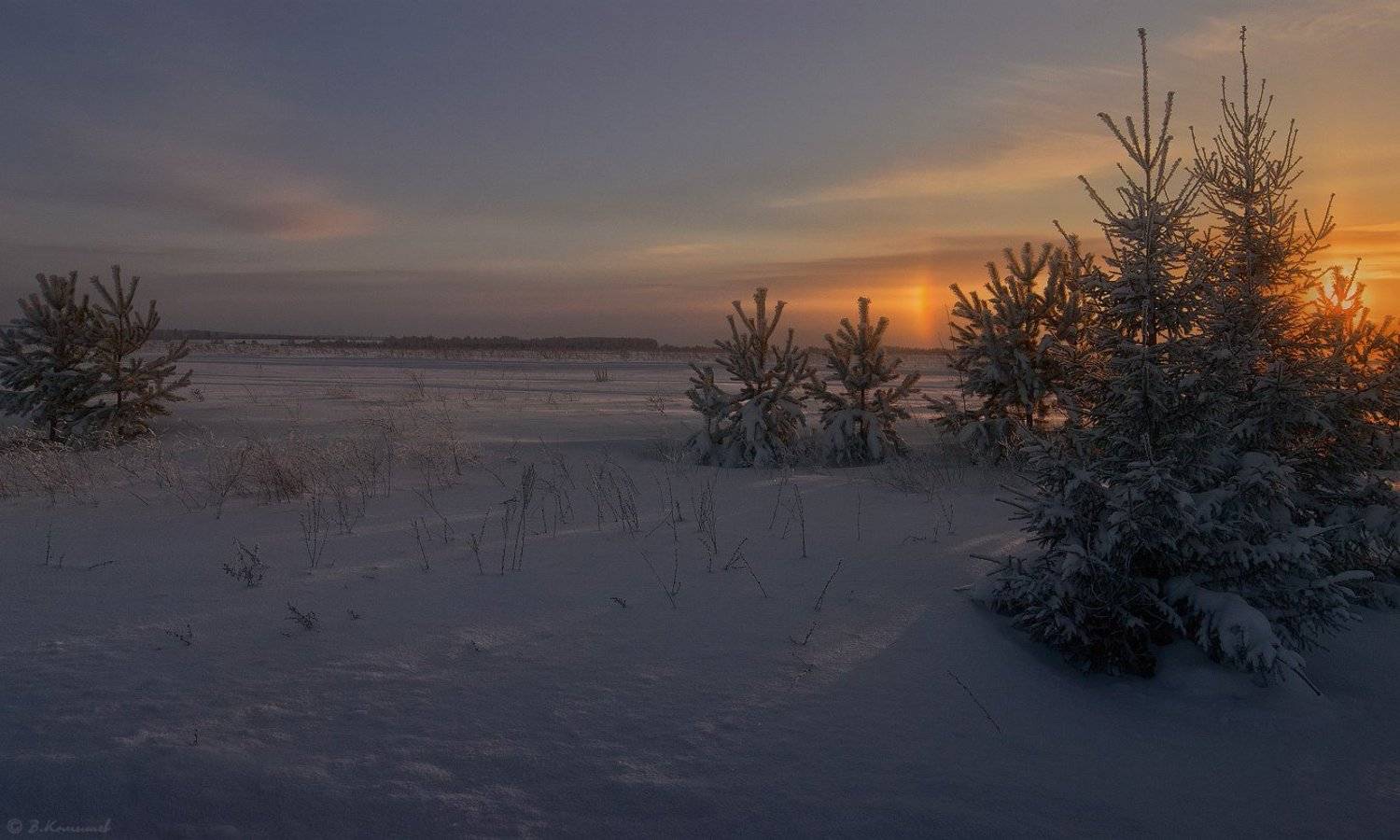 , Владимир Комышев