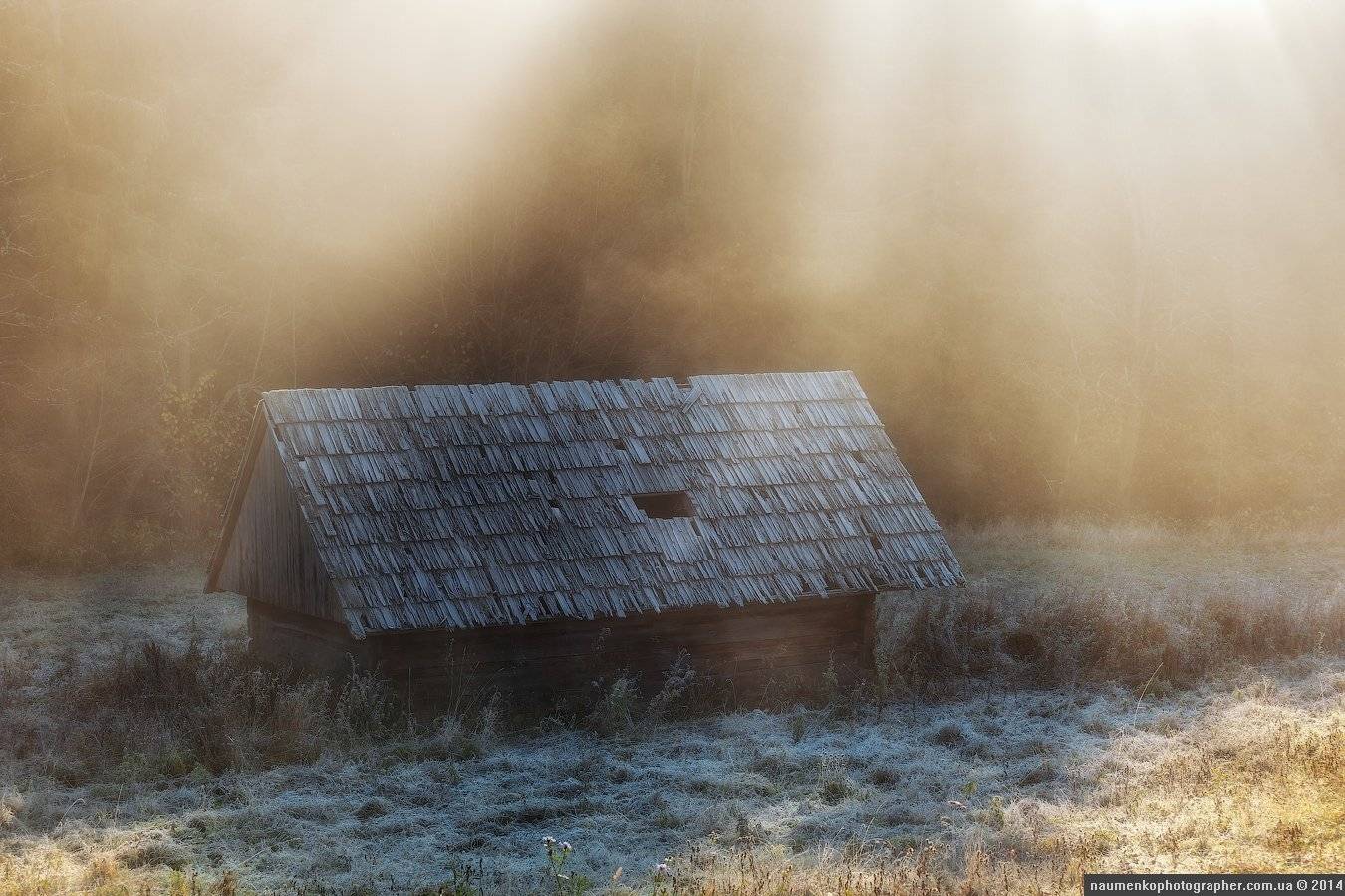 высокие,	горы,	лес,	осень, пейзаж,	рассвет,	словакия, татры,	туман, Александр Науменко