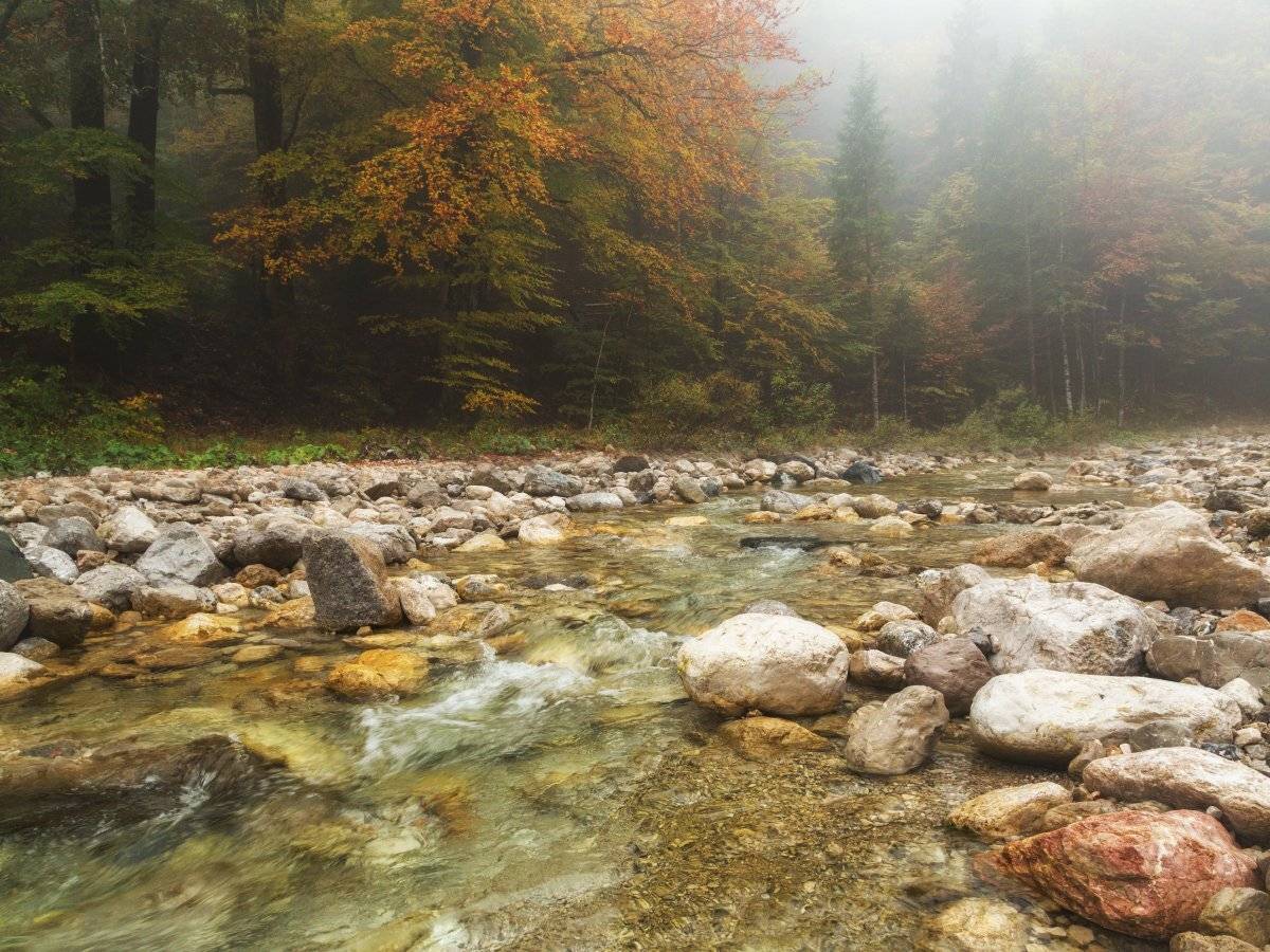 , Александр Удовиченко
