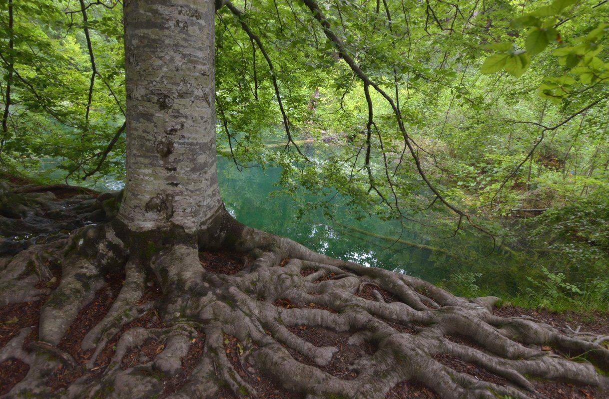 , Сергей Седов