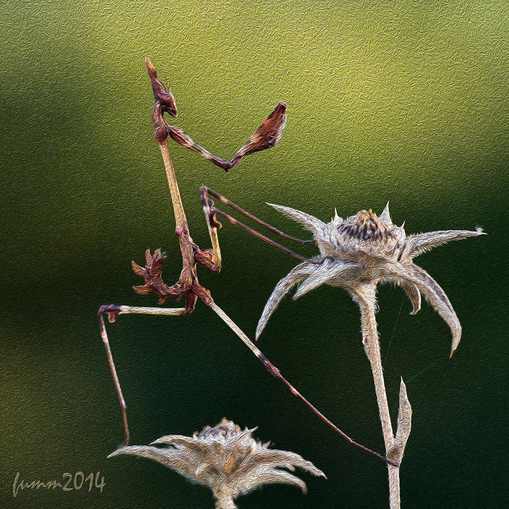 , Игорь ФУММ