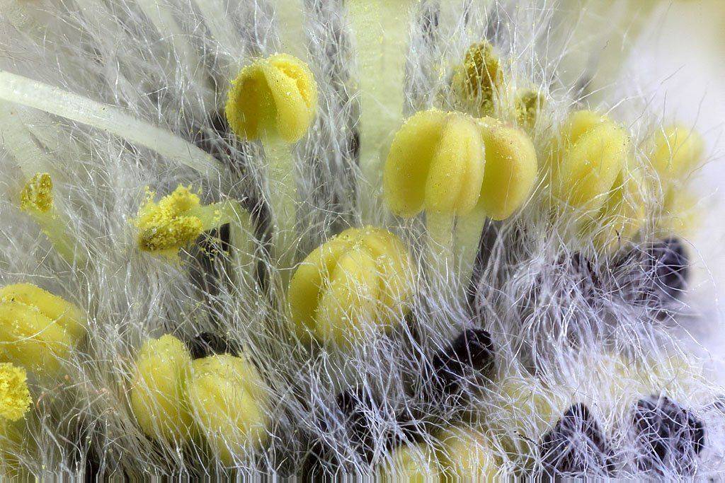 , Сергей Таланов