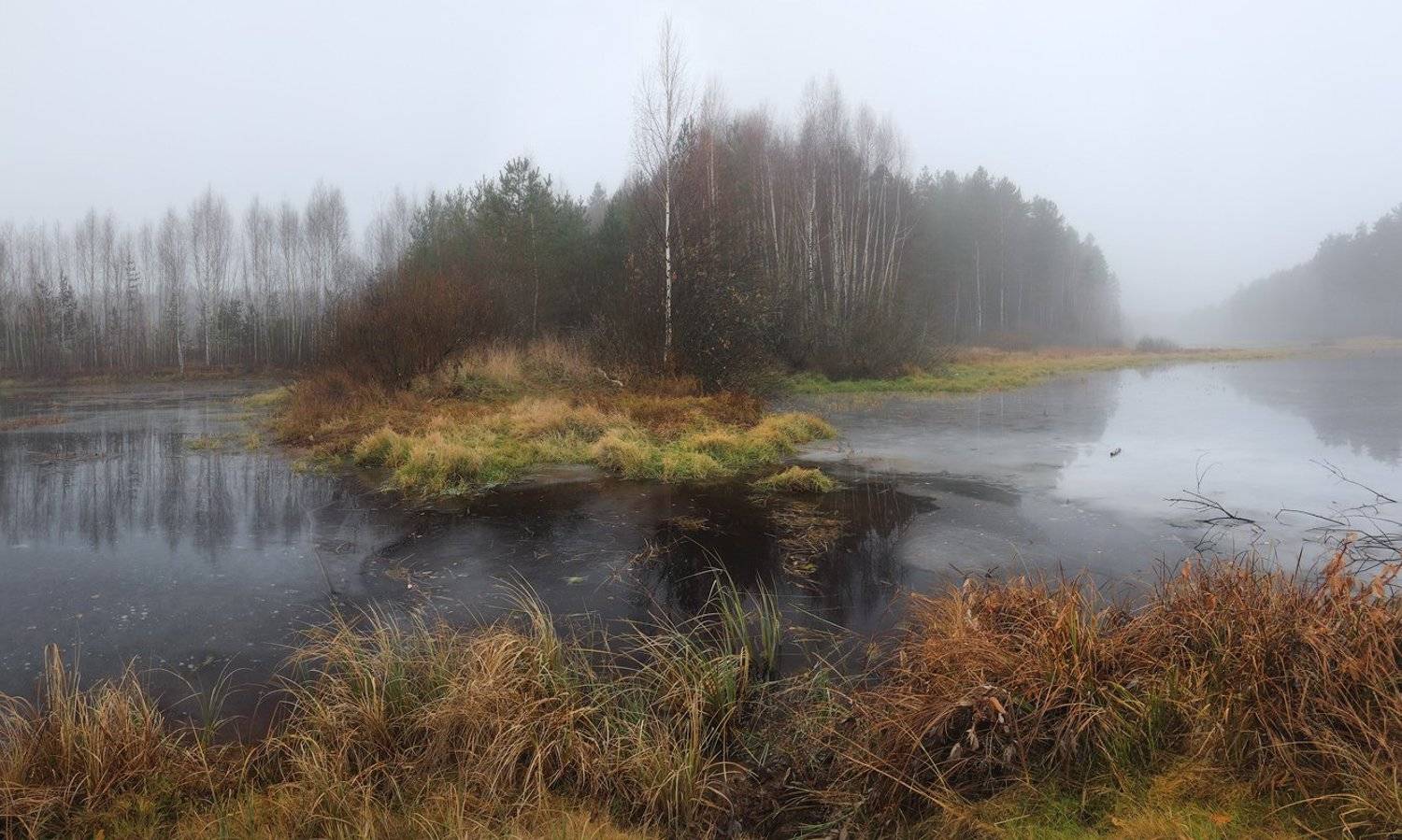 , Дмитрий Алексеев