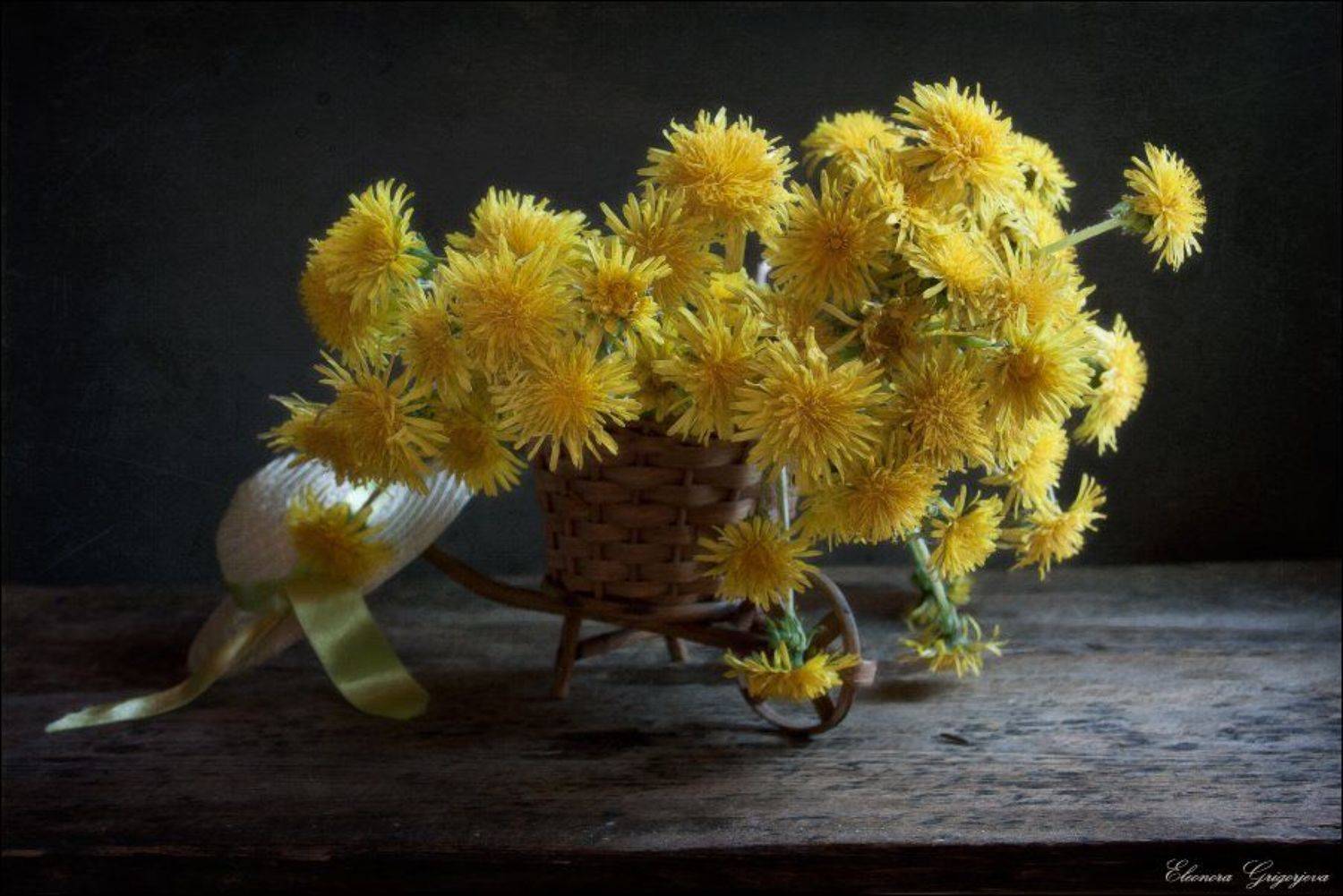 , Eleonora Grigorjeva