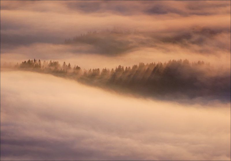 Цунами v.2 фото превью