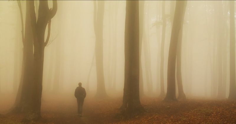 Chess фото превью