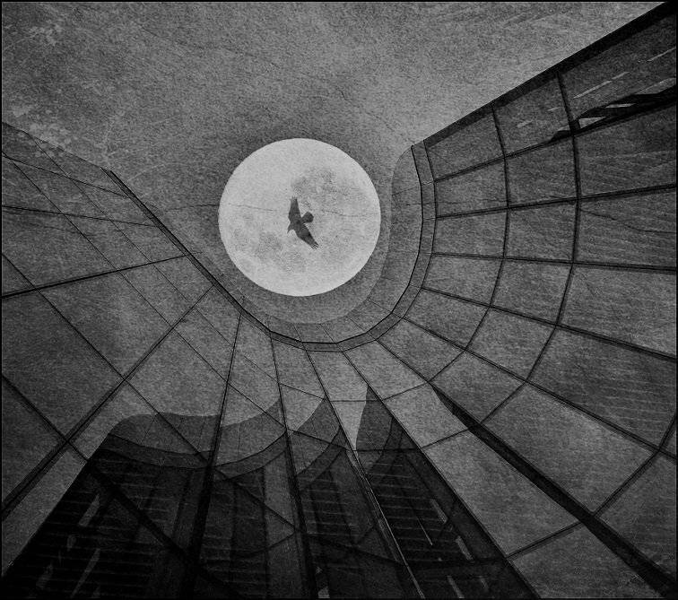 , Krzysztof Trojanowski