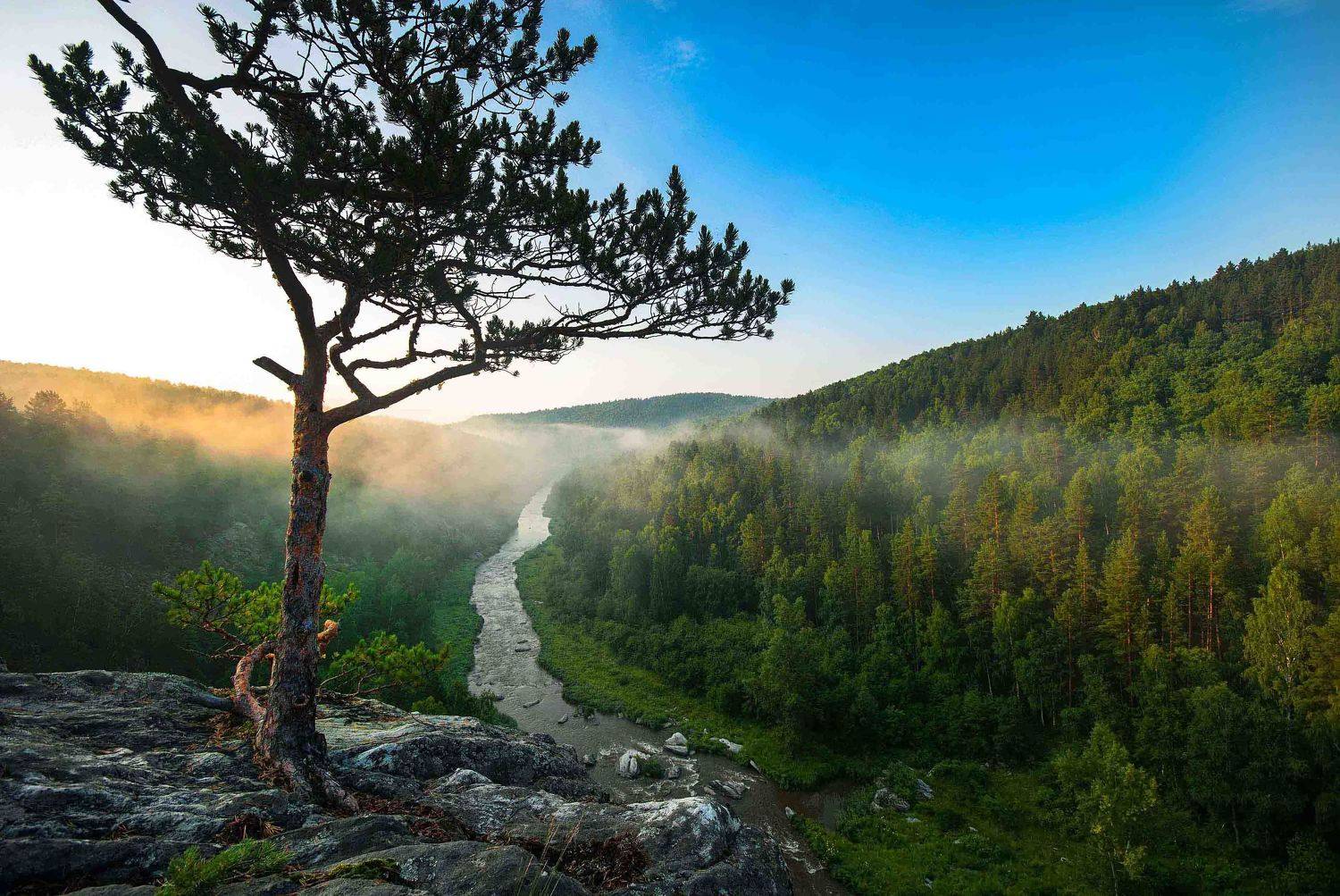 , Орлов Михаил