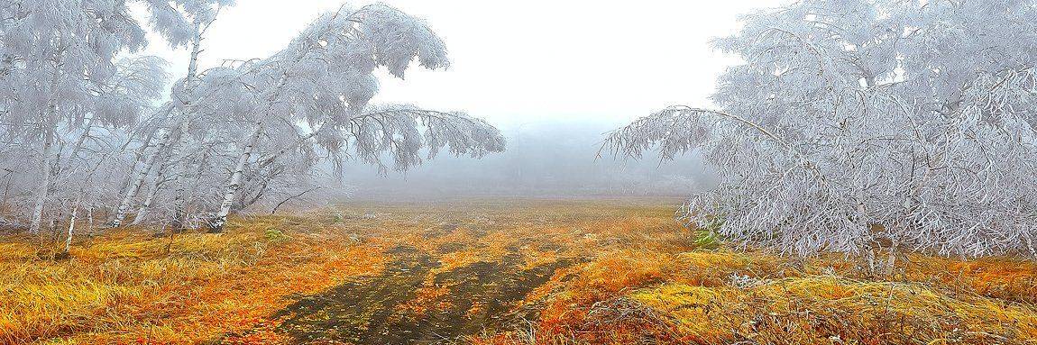 , Качурин Алексей