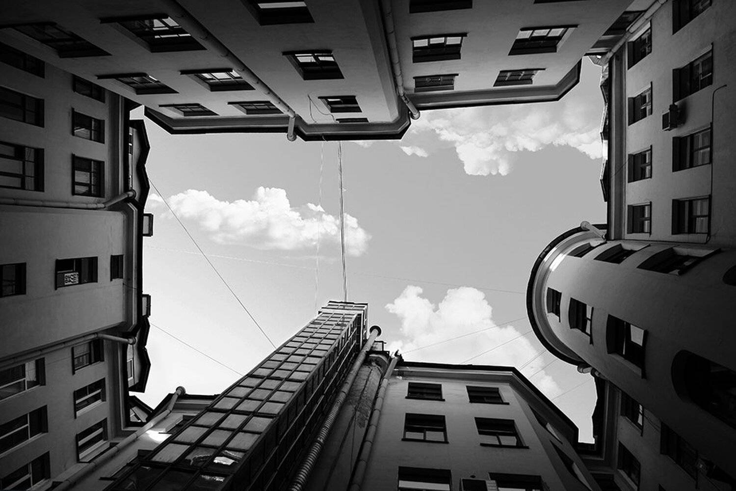 , Камилла Камилла