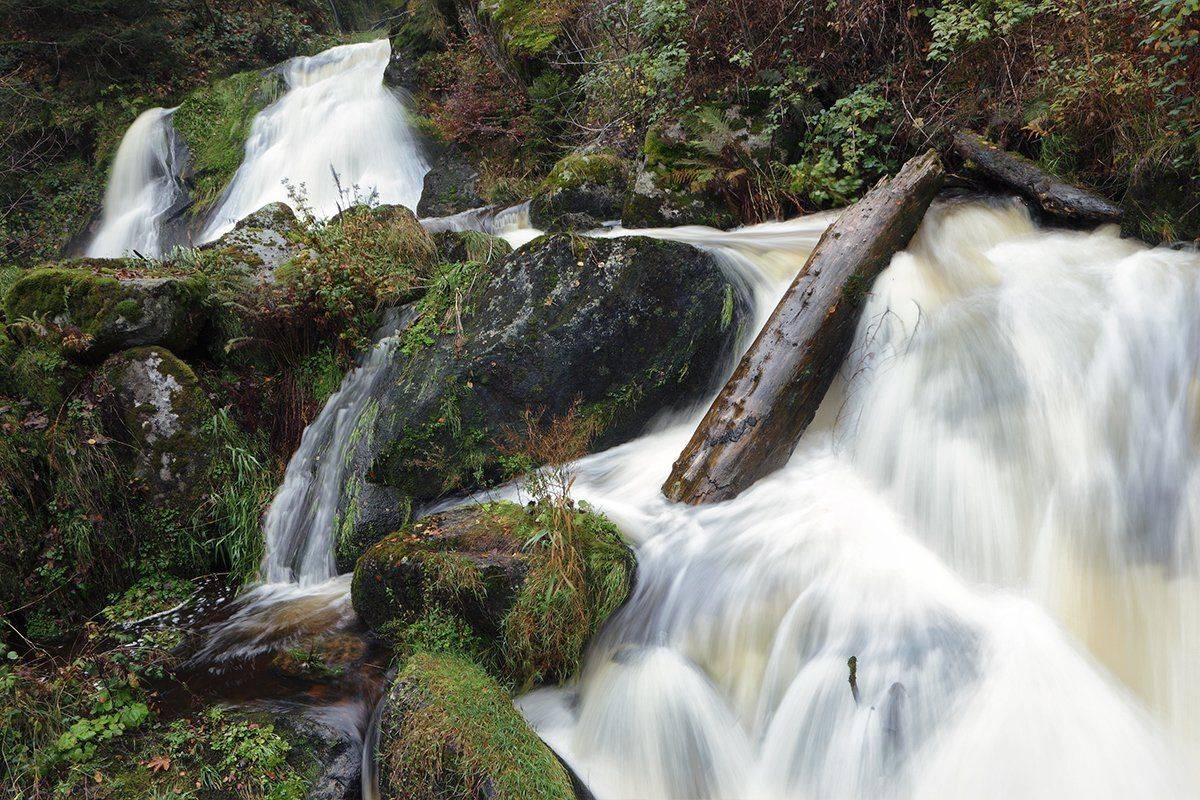 , Игорь Дубровский