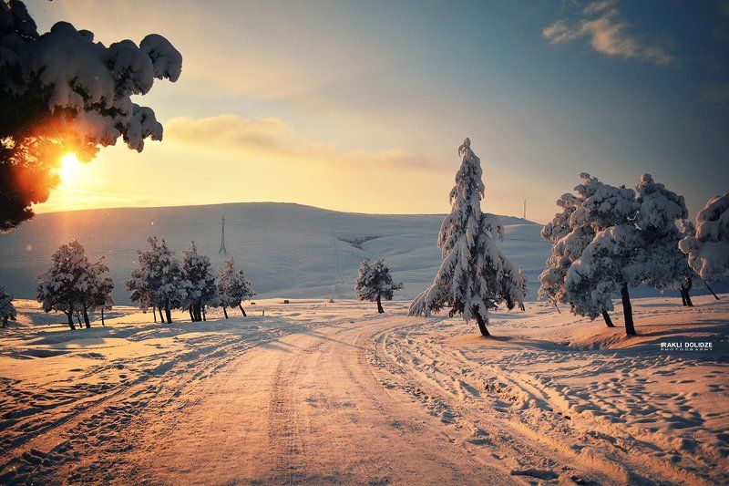 Cloud, Georgia, Landscape, Mountain, Outdoor, Sky, Snow, Sunset, Tree, Winter Sunset фото превью
