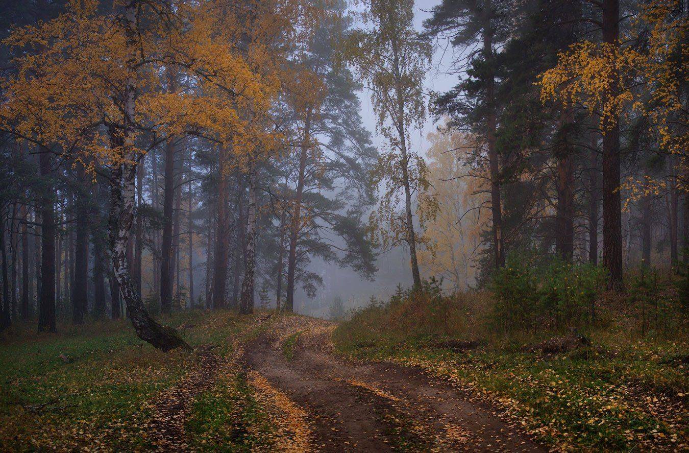 , Владимир Ляпин