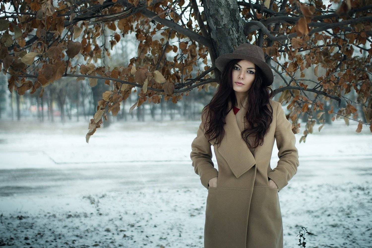 , Скрипников Александр