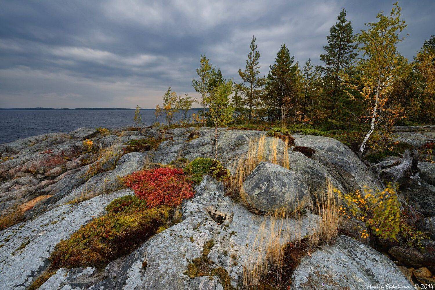 , Максим Евдокимов