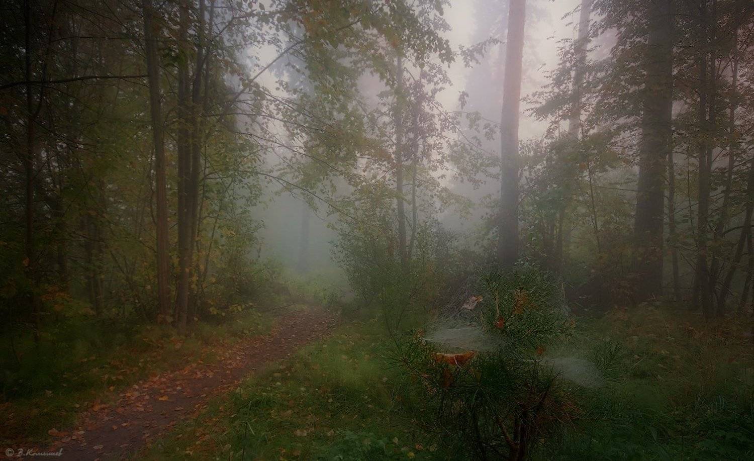 , Владимир Комышев