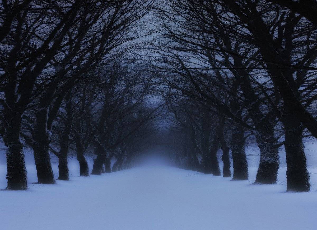 , Михаил  Пилипенко