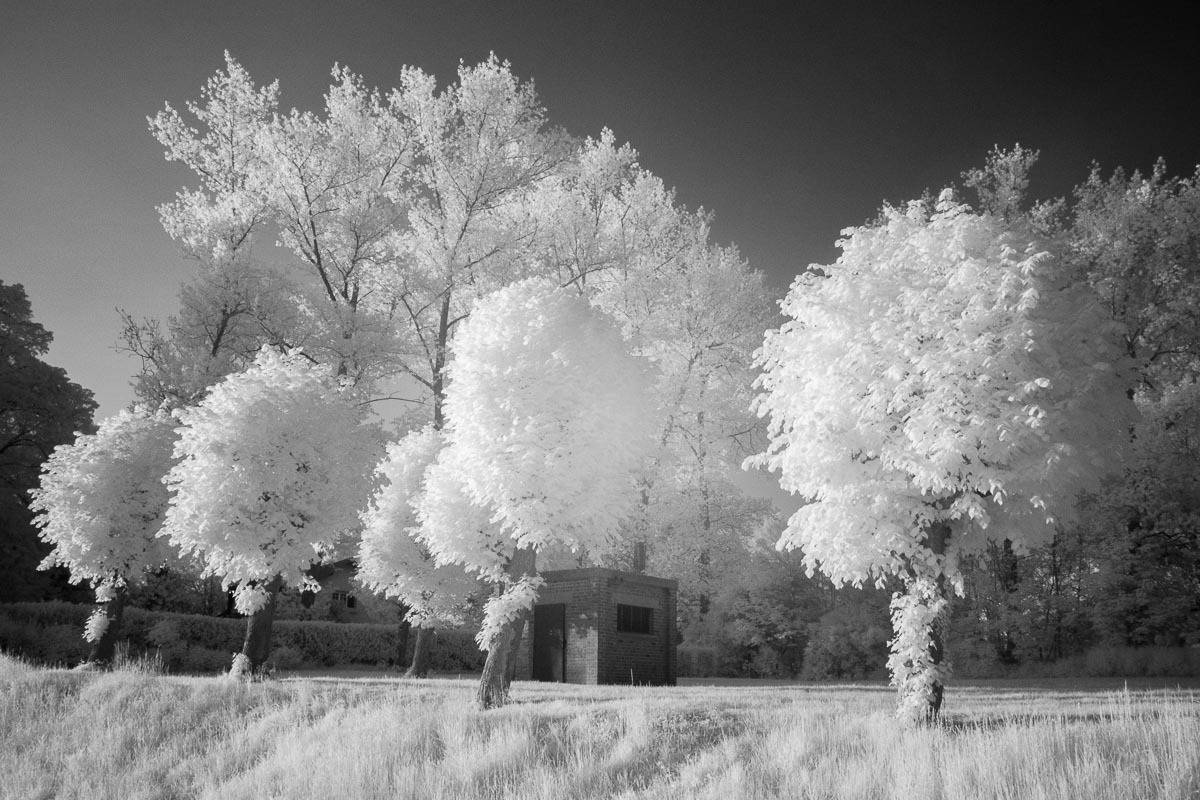 , Сергей Козинцев